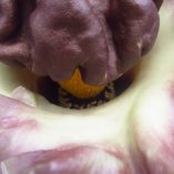 Amorphophallus paeoniifolius-post-feature