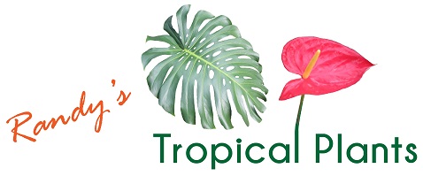Randy's Tropical Plants