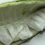 Inga feuillei<p>Ice Cream Bean</p> - Image 2
