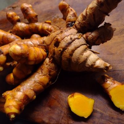 Curcuma aurantiaca<p>wild yellow Turmeric